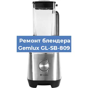 Замена щеток на блендере Gemlux GL-SB-809 в Краснодаре